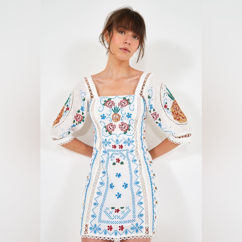 Farm Rio RARE Embroidered Mini Dress